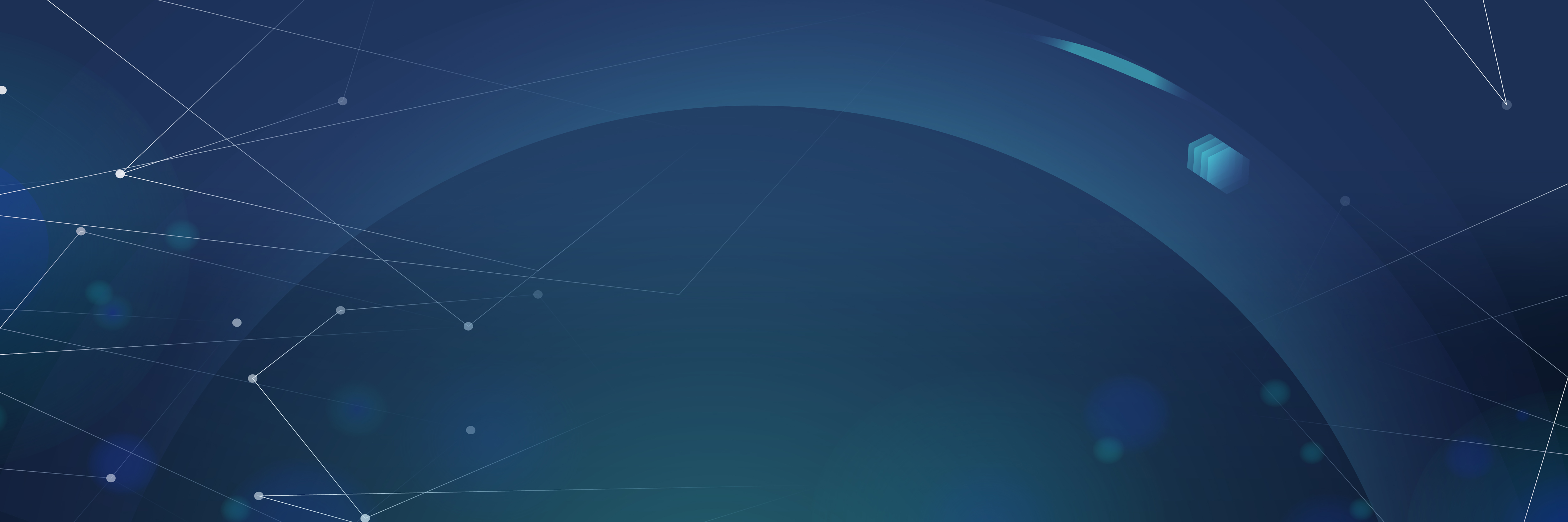 Digital Transformation Partner